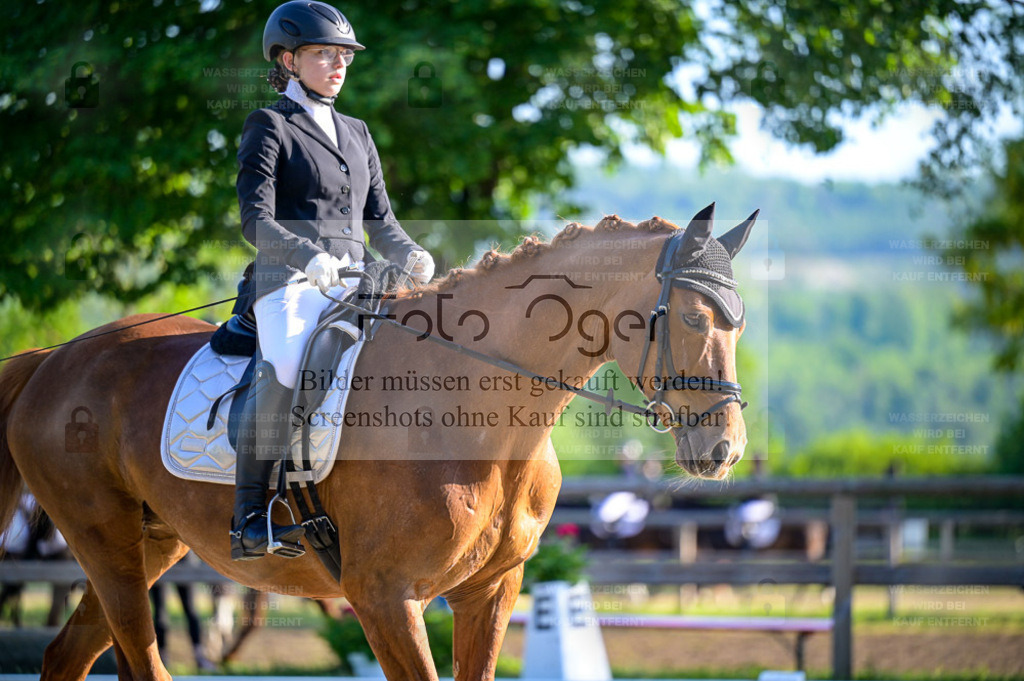 Reitturnier Lienen | Entdecke hochwertige Reitturnierfotos von Foto Oger. Professionell, emotional und authentisch – jetzt Lieblingsmomente im Shop bestellen. - Realisiert mit Pictrs.com