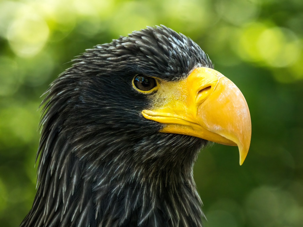 P1000199-Bearbeitet-2017-LR | Natur im Moment - Realisiert mit Pictrs.com