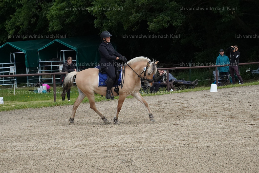 KlasseE_Lucie518 | working equitationturnier fotograf videograf stoibphotography marixx film working equitation deutschland reitsport turnierfotografie eventfotografie equestrian events