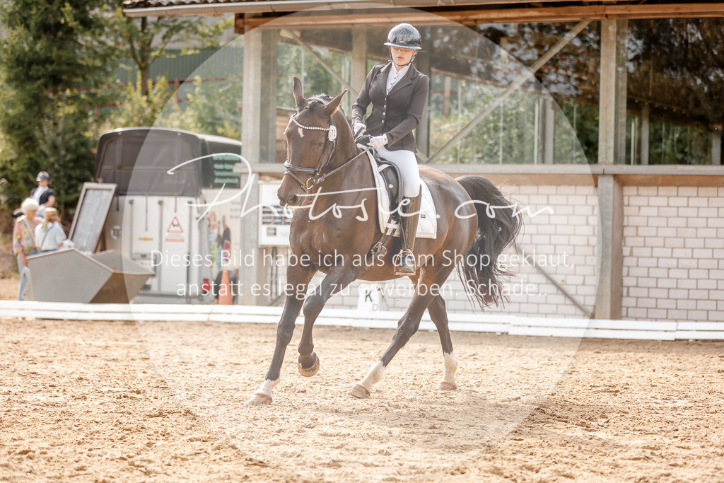 3I6A4139 | Stimmungsvolle Portraits und Reitsportfotografie im Ruhrgebiet und im Münsterland.

Pferdefotografie, Hundefotografie, Tierfotografie, Reportagen, Portraits von Tier und Mensch, Turnierfotografie in Bochum, Recklinghausen, Marl, Haltern am See, Dülmen.. - Realisiert mit Pictrs.com