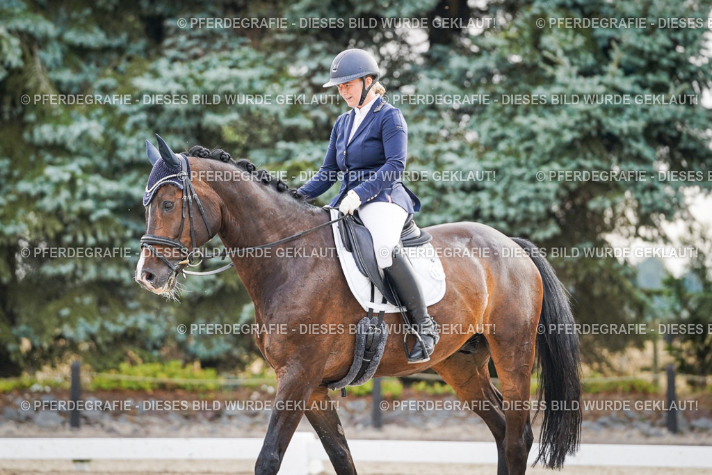 DSC00170 | Pferdegrafie