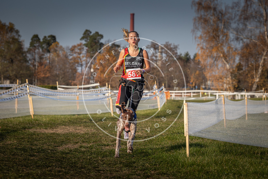 CaniXpix_0L8A9878 | Hundefotografie, Tierfotograf, Pfotenfotografie, Fotoshooting Hund, Hunde Portrait, Hundesport, Hundeportraits, Heideshooting, Hunde, Sportfotograf, Hundefotograf, Turnierhundsport, THS,  - Realisiert mit Pictrs.com