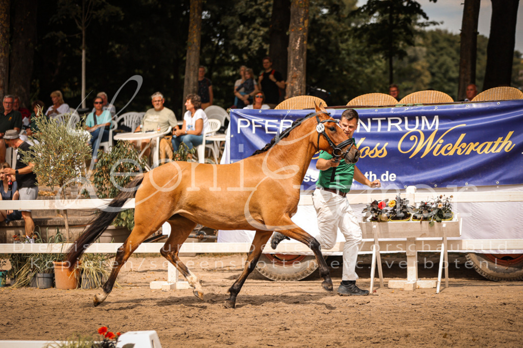 11.So00054 | Leoni Ertmer Photography - Realisiert mit Pictrs.com