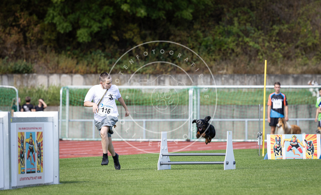 Pfotenfotografie_DV3A8369 | Hundefotografie, Tierfotograf, Pfotenfotografie, Fotoshooting Hund, Hunde Portrait, Hundesport, Hundeportraits, Heideshooting, Hunde, Sportfotograf, Hundefotograf, Turnierhundsport, THS,  - Realisiert mit Pictrs.com