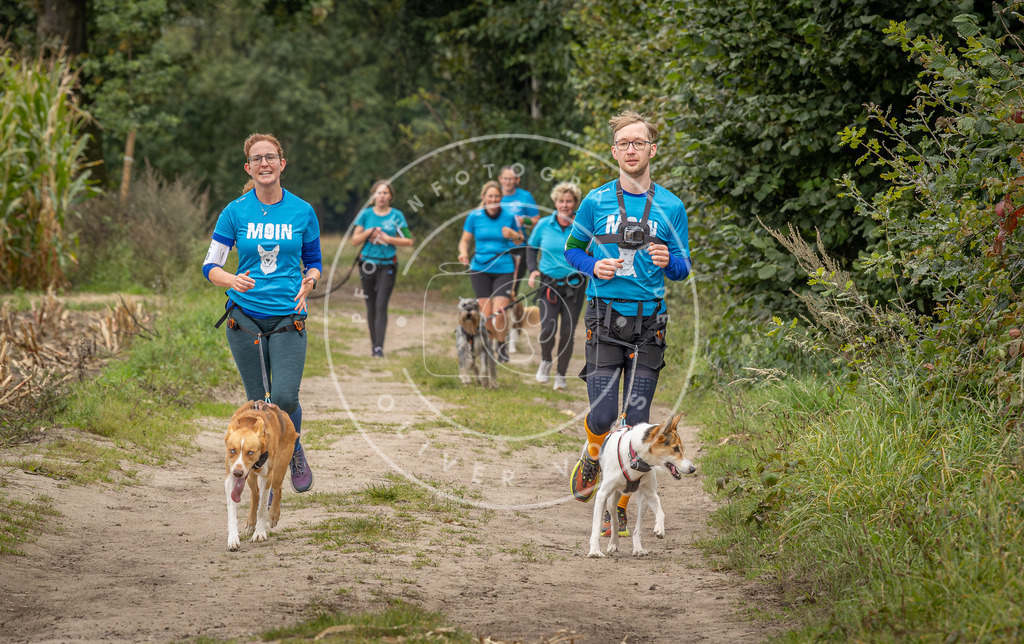 Pfotenfotografie_DV3A6865 | Hundefotografie, Tierfotograf, Pfotenfotografie, Fotoshooting Hund, Hunde Portrait, Hundesport, Hundeportraits, Heideshooting, Hunde, Sportfotograf, Hundefotograf, Turnierhundsport, THS,  - Realisiert mit Pictrs.com