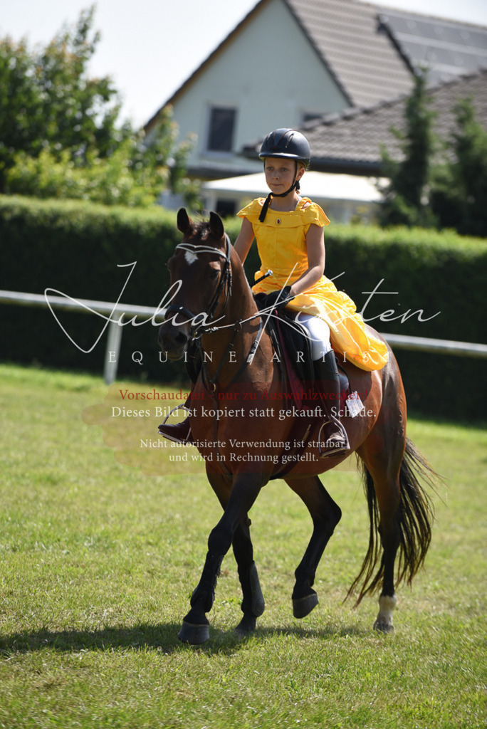 DSC_0159 | Pferde- und Turnierfotografie in Westsachsen. Pferdeportraits, Auftragszeichnungen und intuitive Kunst.