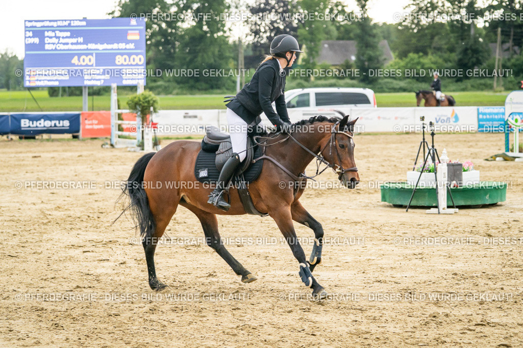 DSC07182 | Pferdegrafie