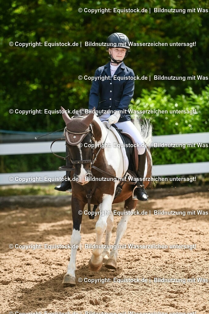 20230716_10-2_Reiter-WB Schritt - Trab - Galopp_0179 | equistock