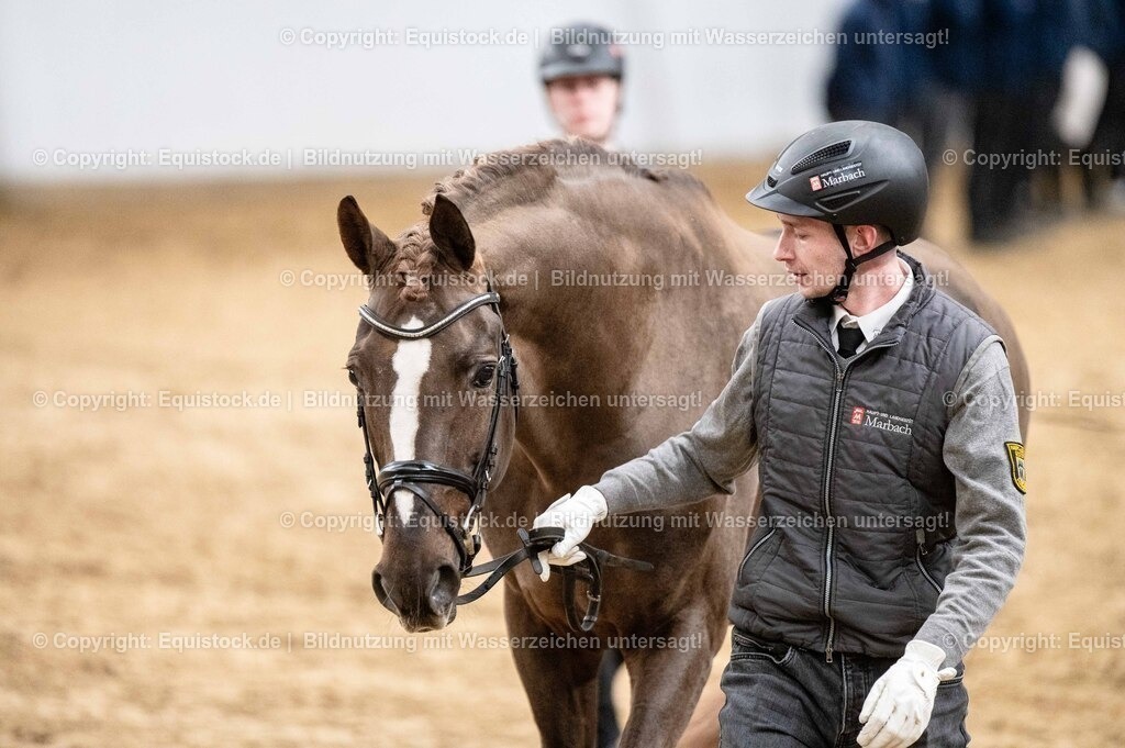 20260307_Hengstvorstellung-Marbach_0548 | equistock