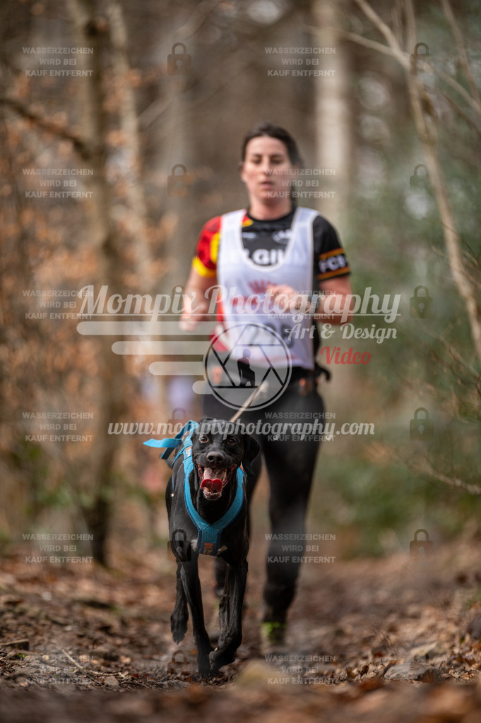 SPA_2023_DIM_CCK-73 | PayLife