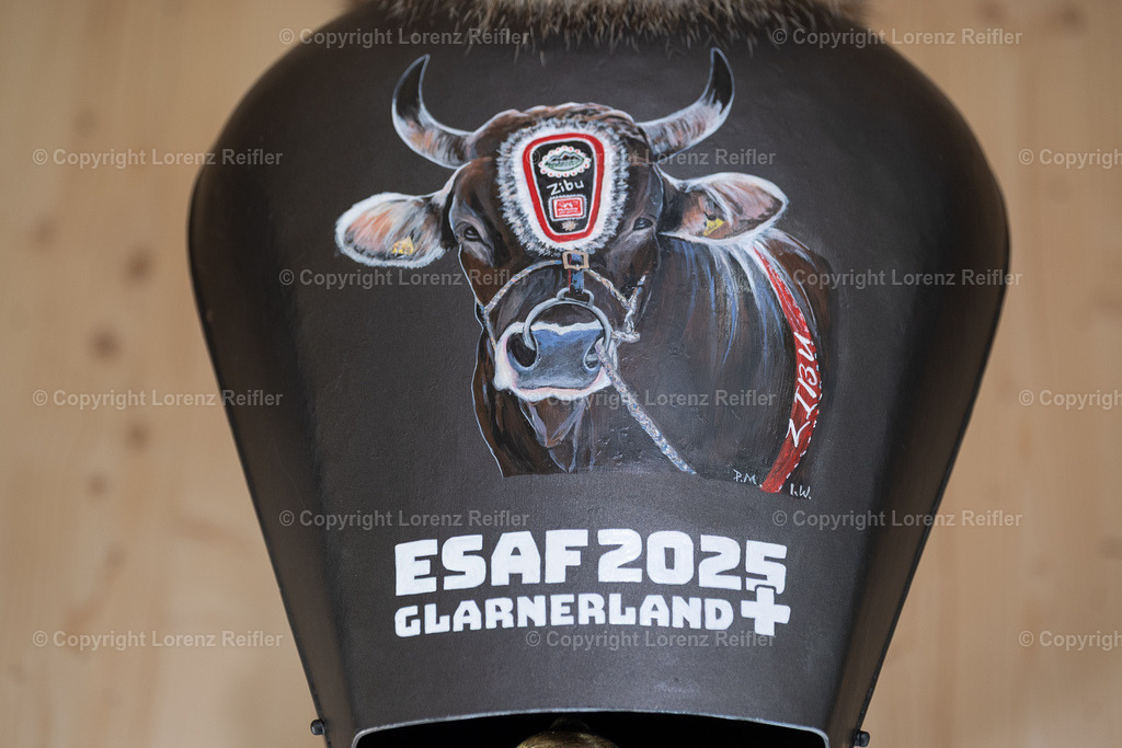 Schwingen -  ESAF Freitag Festumzug 2025 | Mollis, 29.8.25, Schwingen - ESAF Freitag Festumzug.