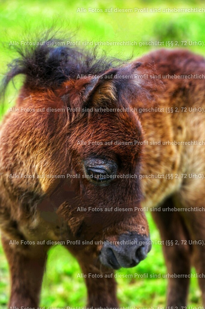 Photo_1625949109221-01_3 | krollfotografie - Realisiert mit Pictrs.com