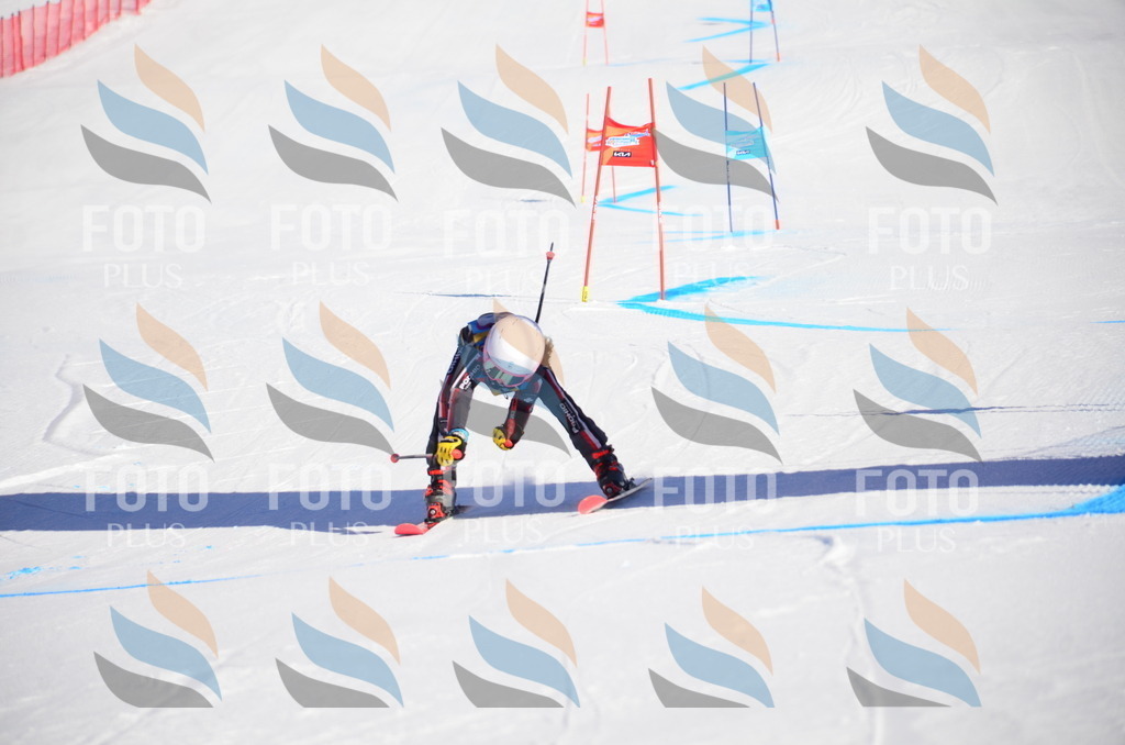 VR4_8369 | holidayphoto