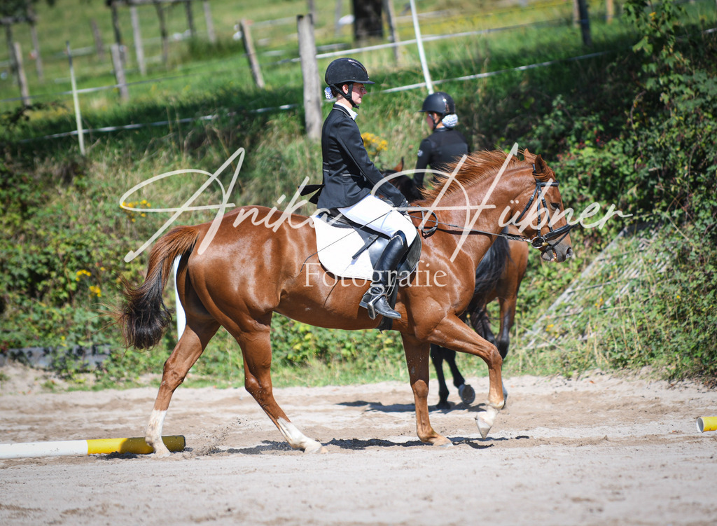 DSC_0188 | anikahuebner - Realisiert mit Pictrs.com