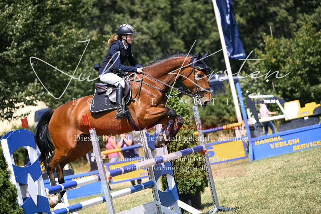 DSC_0144 | Pferde- und Turnierfotografie in Westsachsen. Pferdeportraits, Auftragszeichnungen und intuitive Kunst.