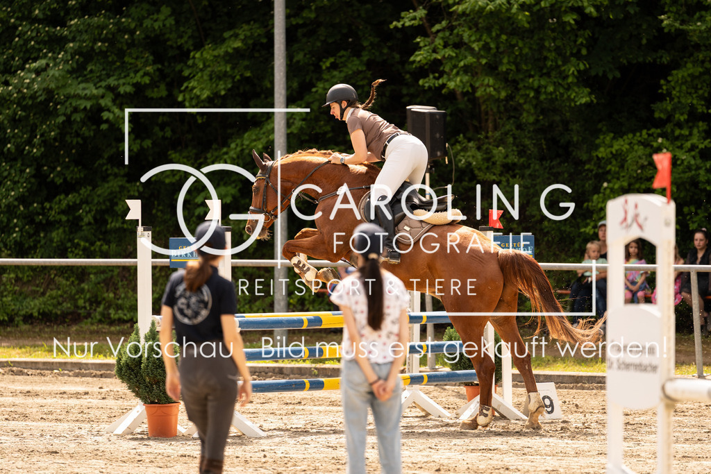 DSC02347 | Carolin Gieschke