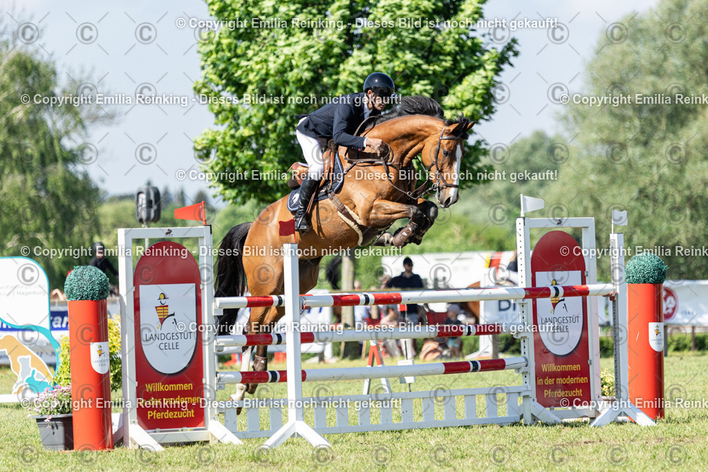 CL5A7206 | Emilia Reinking Fotografie - Realisiert mit Pictrs.com