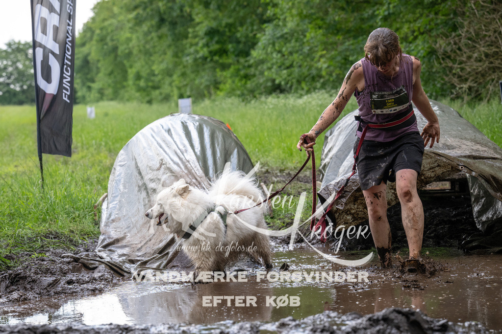 1225_ZZ92211 | kk-dogfotos