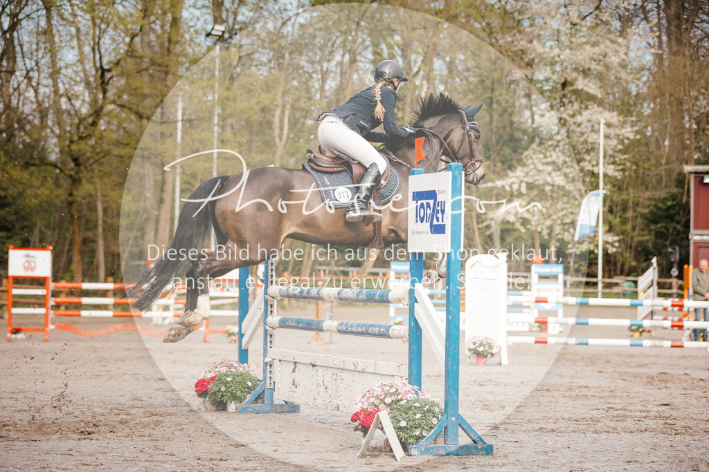3I6A3360 | Stimmungsvolle Portraits und Reitsportfotografie im Ruhrgebiet und im Münsterland.

Pferdefotografie, Hundefotografie, Tierfotografie, Reportagen, Portraits von Tier und Mensch, Turnierfotografie in Bochum, Recklinghausen, Marl, Haltern am See, Dülmen.. - Realisiert mit Pictrs.com
