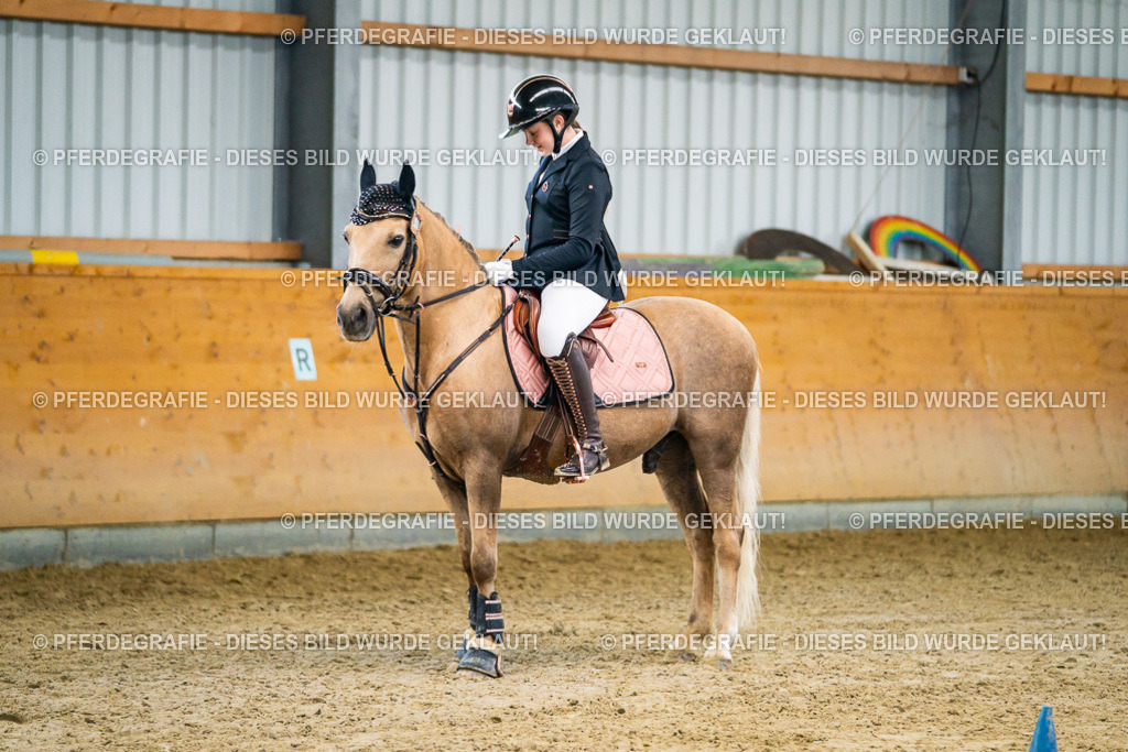 DSC00700 | Pferdegrafie