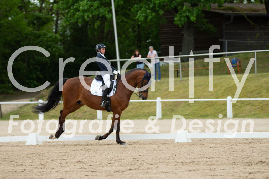 IMG_3145 | Creatify Fotografie