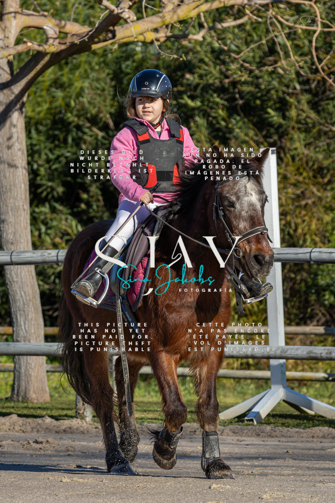 IMG_7724 | s-jay-photography - Realisiert mit Pictrs.com