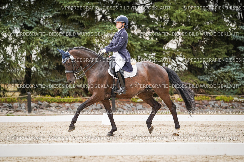 DSC07630 | Pferdegrafie