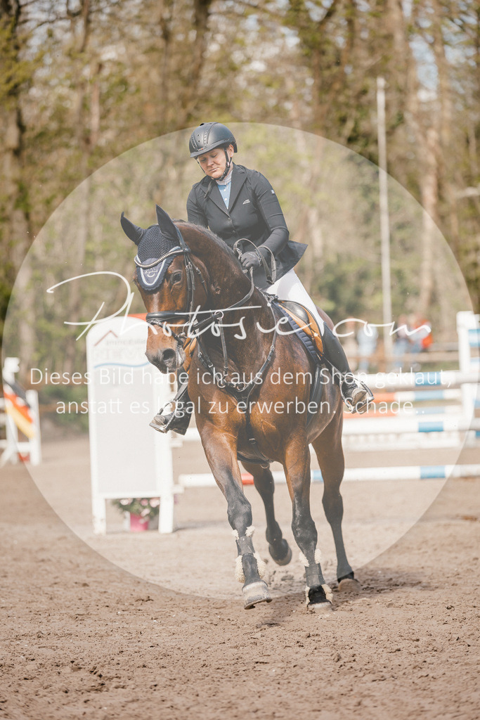 3I6A4181 | Stimmungsvolle Portraits und Reitsportfotografie im Ruhrgebiet und im Münsterland.

Pferdefotografie, Hundefotografie, Tierfotografie, Reportagen, Portraits von Tier und Mensch, Turnierfotografie in Bochum, Recklinghausen, Marl, Haltern am See, Dülmen.. - Realisiert mit Pictrs.com