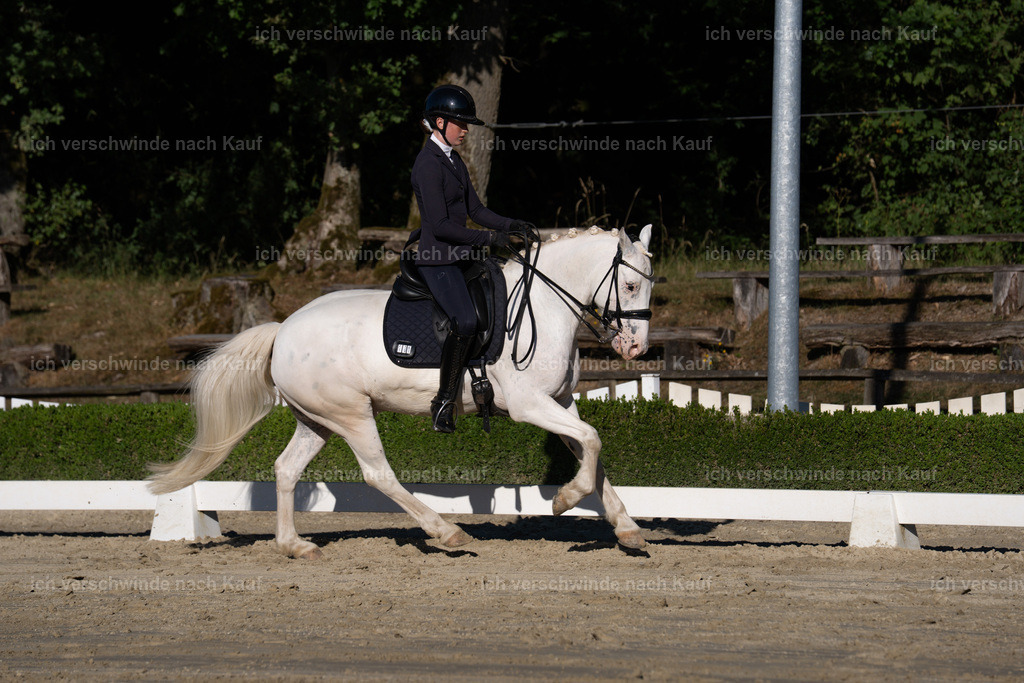 WM_DR_101_sinafilmart_IN04665 | working equitationturnier fotograf videograf stoibphotography marixx film working equitation deutschland reitsport turnierfotografie eventfotografie equestrian events