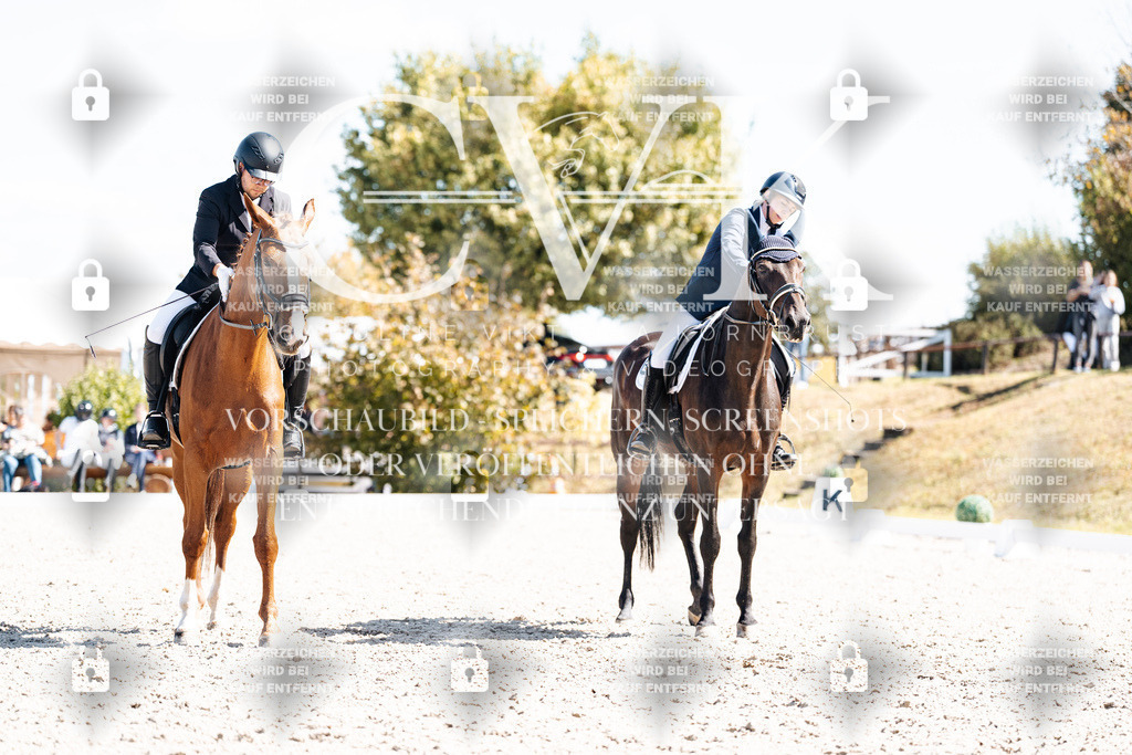 CK903380 | Turnierfotografie Pferdefotografie Trier Rheinland-Pfalz Pferdesport Reitsport Tierfotografie Sportfotografie Pferdevideo Pferdevideografie Equestrianvideography equestrianphotography  - Realisiert mit Pictrs.com