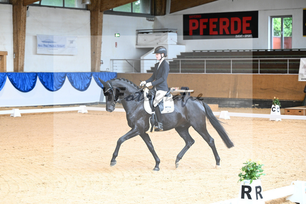 Kat-Nr. 78 Folly Pleasure_Pitkowitz_14241020 | hf-fotografie - Realizzato con Pictrs.com