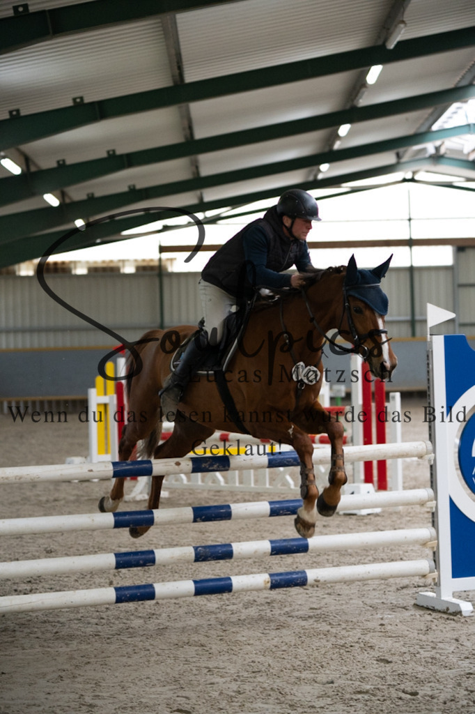 A7V08701 | Pferdefotograf