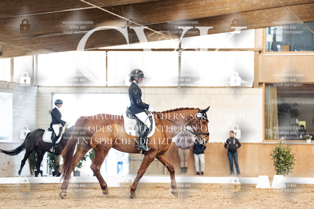 CK901092 | Turnierfotografie Pferdefotografie Trier Rheinland-Pfalz Pferdesport Reitsport Tierfotografie Sportfotografie Pferdevideo Pferdevideografie Equestrianvideography equestrianphotography  - Realisiert mit Pictrs.com