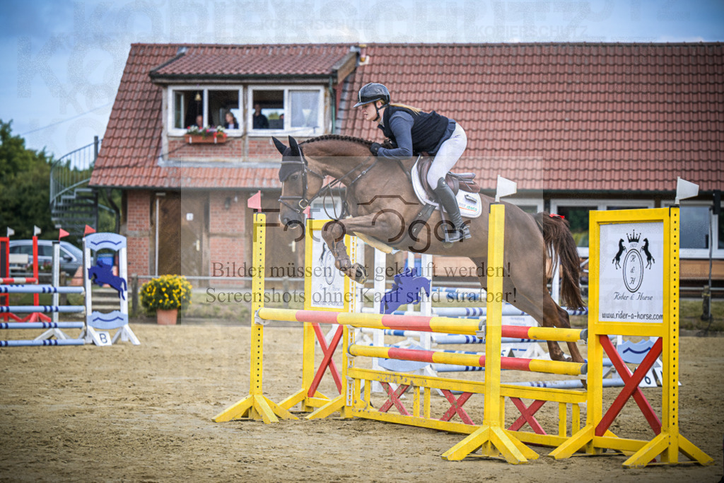 DOS_5830 | Entdecke hochwertige Reitturnierfotos von Foto Oger. Professionell, emotional und authentisch – jetzt Lieblingsmomente im Shop bestellen.Deutschlandweite Turnierfotografie. - Realisiert mit Pictrs.com