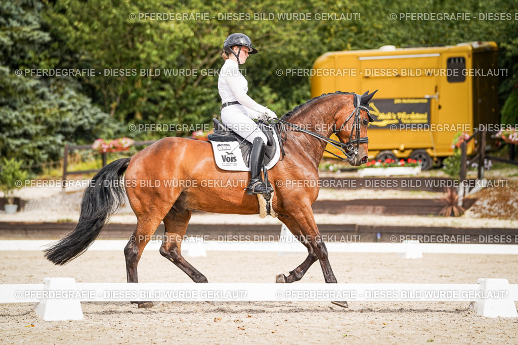 DSC06761 | Pferdegrafie