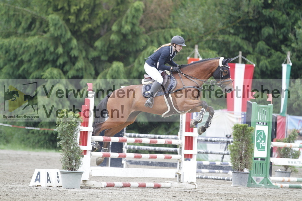 _MG_8468 | equestrian-live-com