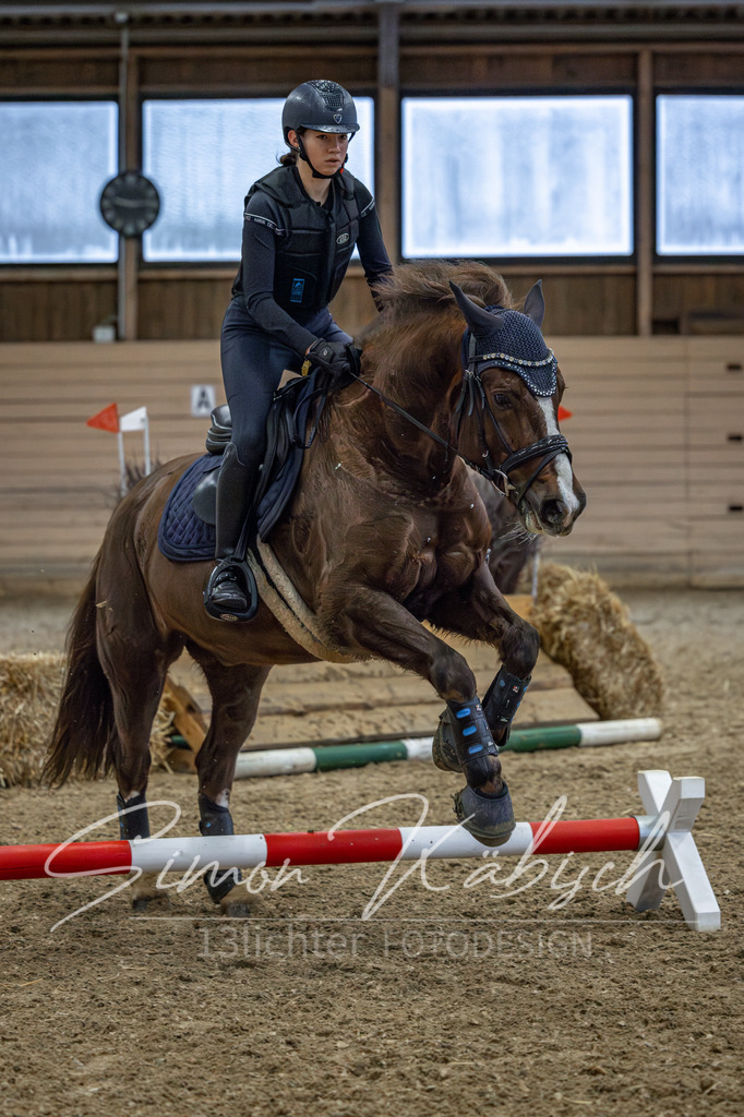 20260222-_3LI1163 | Tierfotografie Pferde, Hunde, Katzen, Haustiere.
Turnierfotografie Reitturniere, Reiten, Springreiten, Dressur in Hanau, dem Main-Kinzig-Kreis und dem Rhein-Main- Gebiet um Frankfurt