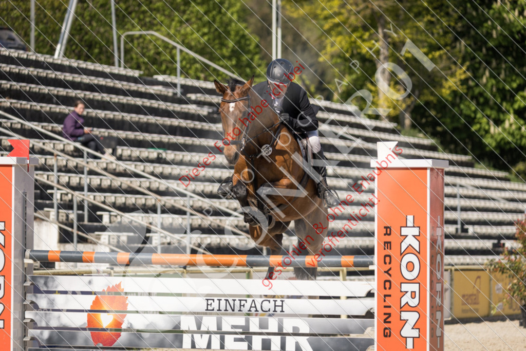 IMG_3919 | Sport-, Event- und Tierfotos in Profiqualität. Einfach auswählen, bestellen und herunterladen. Dein Moment – perfekt festgehalten.