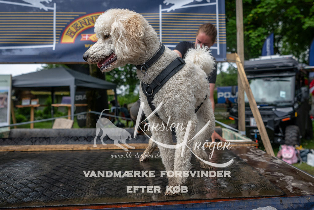 1005_ZZ93931 | kk-dogfotos