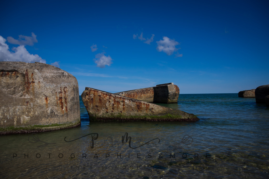 _Sommer2022-0653 | Photographies and more - Realisiert mit Pictrs.com