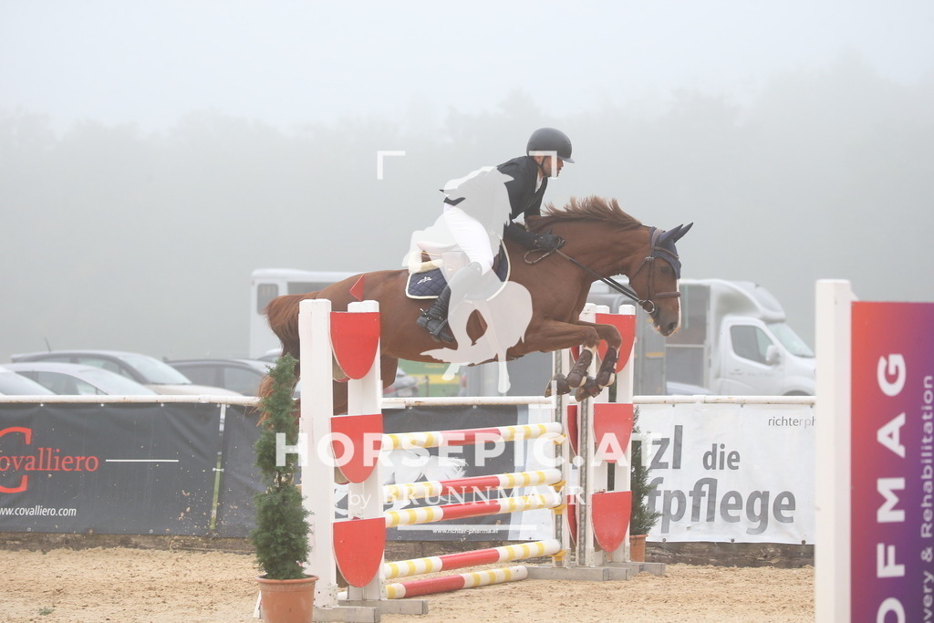 DL2Q2980 | Willkommen bei Brunnmayr - Design & Fotografie – Ihrem Spezialisten für Reitturniere und Pferdeveranstaltungen in Oberösterreich, Salzburg und Bayern! Seit über 17 Jahren sind wir leidenschaftlich dabei.