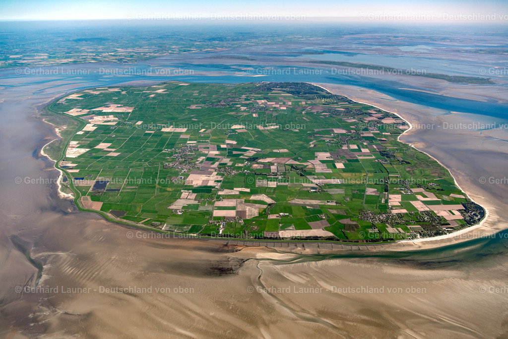 3801716 | Föhr, Nationalpark Schleswig-Holsteinisches Wattenmeer