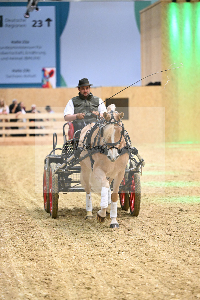 Schauprogramm_DSP Daria_1261144 | hf-fotografie - Realisiert mit Pictrs.com