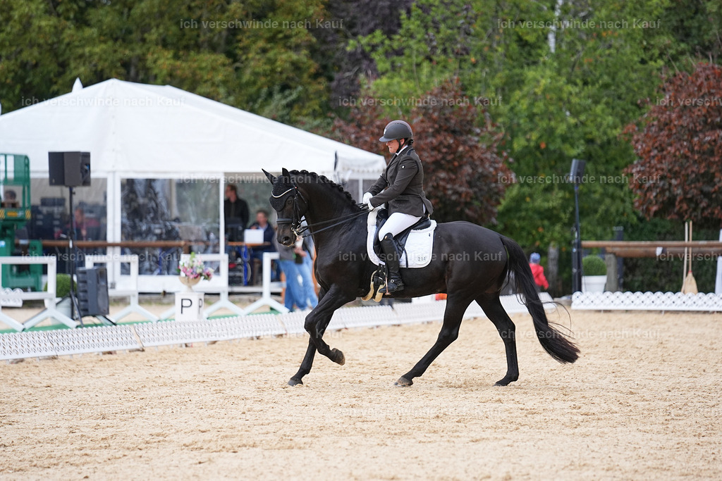 04_2-214-Dressur M__ -Marixx-3063 | working equitationturnier fotograf videograf stoibphotography marixx film working equitation deutschland reitsport turnierfotografie eventfotografie equestrian events