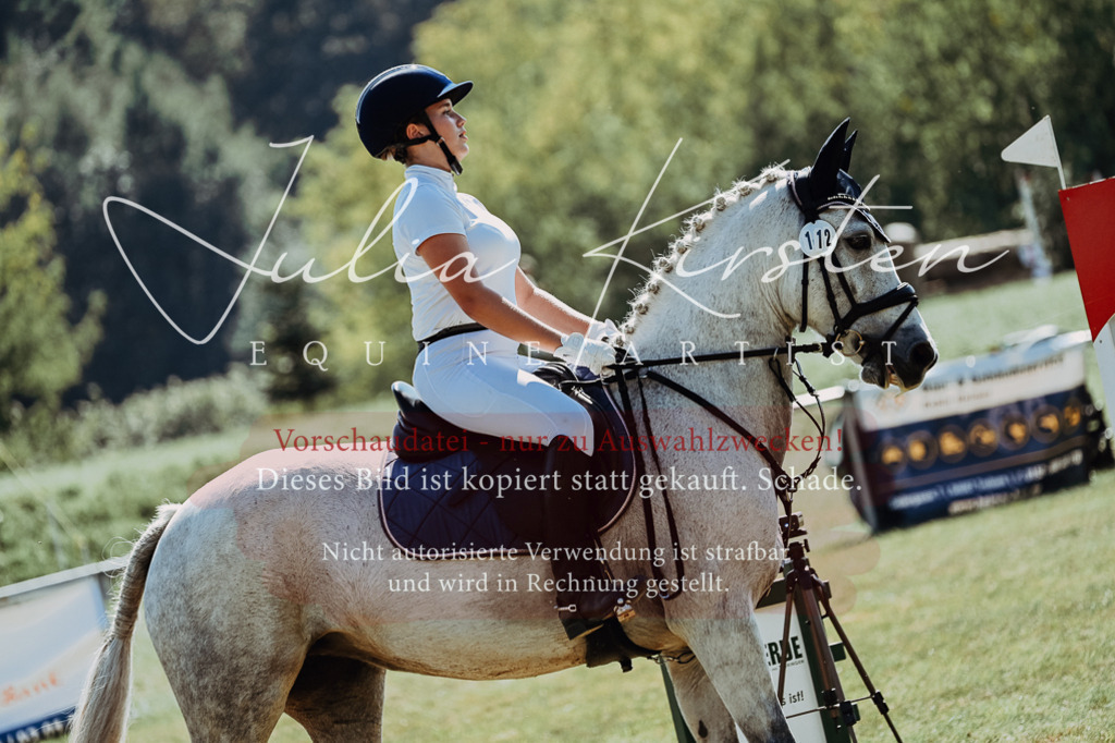 DSC_6101 | Pferde- und Turnierfotografie in Westsachsen. Pferdeportraits, Auftragszeichnungen und intuitive Kunst.