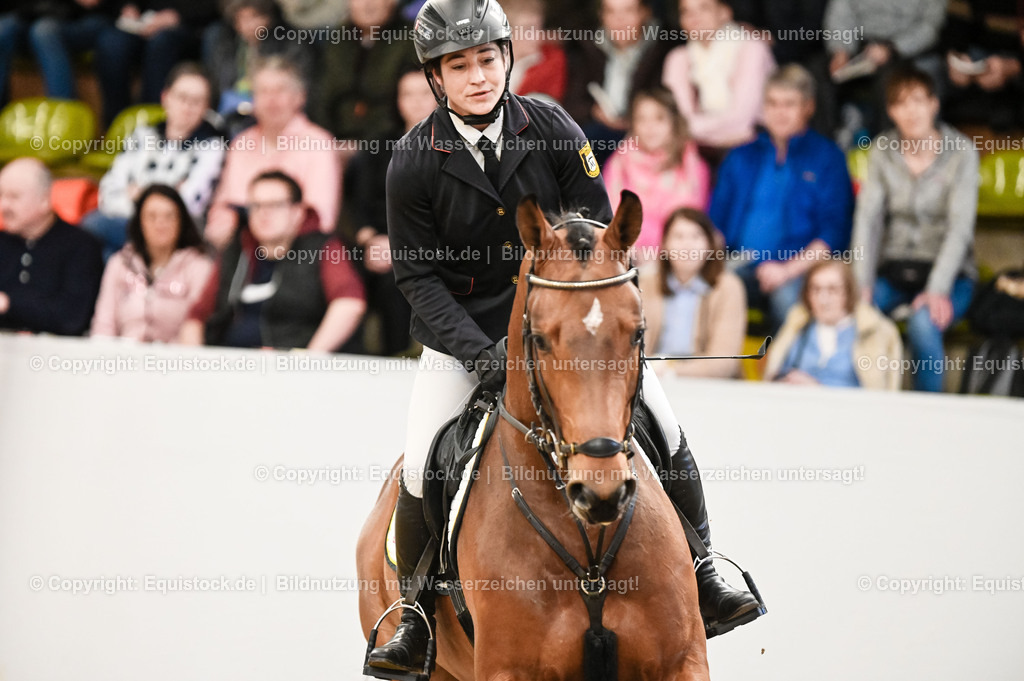 20260307_Hengstvorstellung-Marbach_0019 | equistock