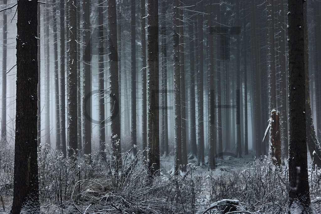 Ein Hans Fineart Original | Entdecke die Kunst von Hans Fineart - Fotografien für dein Zuhause. Verwandle deine Wände mit einzigartigen Kunstwerken und bringe die Schönheit der Welt in dein Leben. Bestelle jetzt und schaffe einen Ort der Inspiration und Eleganz.