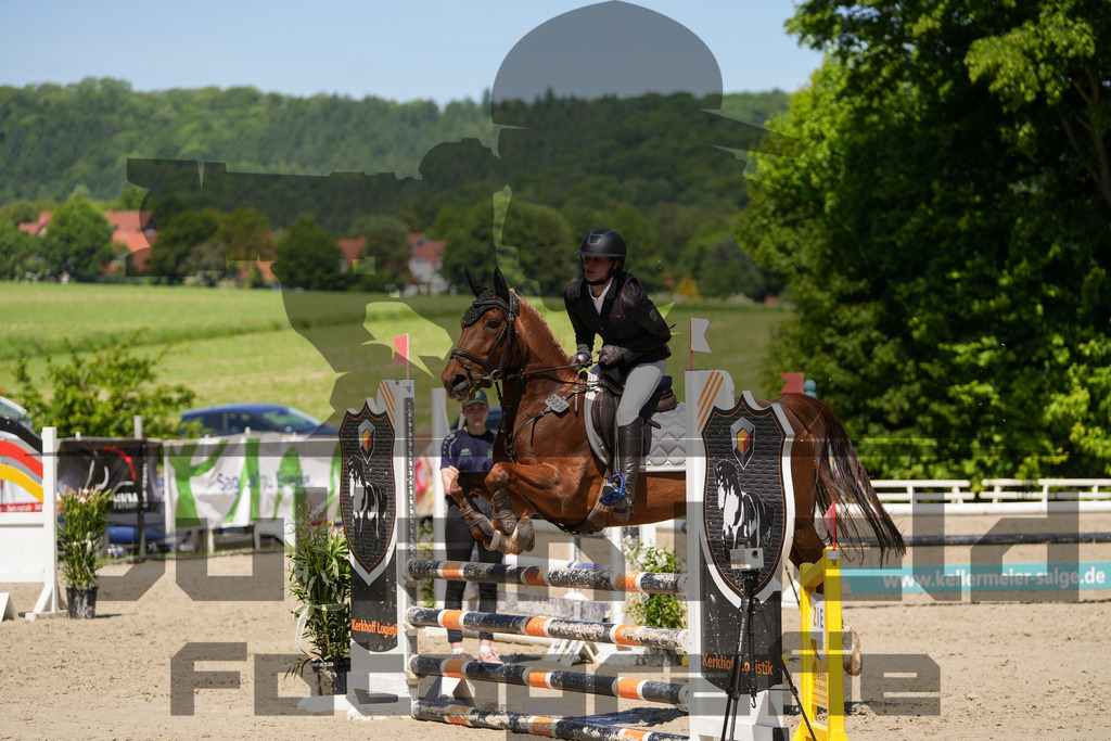 DSC02320 | Julian Held Fotografie - Realisiert mit Pictrs.com