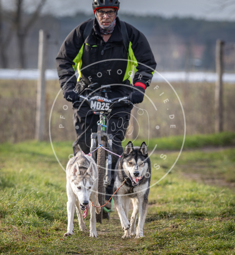 Pfotenfotografie_DV3A6892 | Hundefotografie, Tierfotograf, Pfotenfotografie, Fotoshooting Hund, Hunde Portrait, Hundesport, Hundeportraits, Heideshooting, Hunde, Sportfotograf, Hundefotograf, Turnierhundsport, THS,  - Realisiert mit Pictrs.com