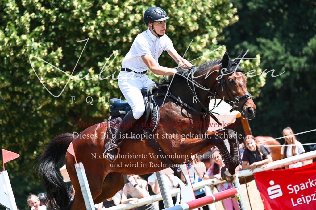 DSC_0371 | Pferde- und Turnierfotografie in Westsachsen. Pferdeportraits, Auftragszeichnungen und intuitive Kunst.